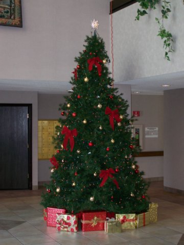 lobbychristmastree.jpg