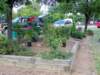 beforetheplanting_small.jpg