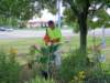 planting_small.jpg